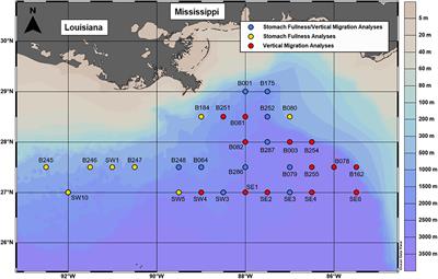 State of Satiation Partially Regulates the Dynamics of Vertical Migration